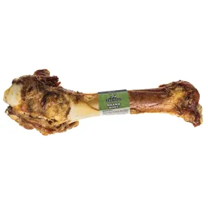 Shank Bone