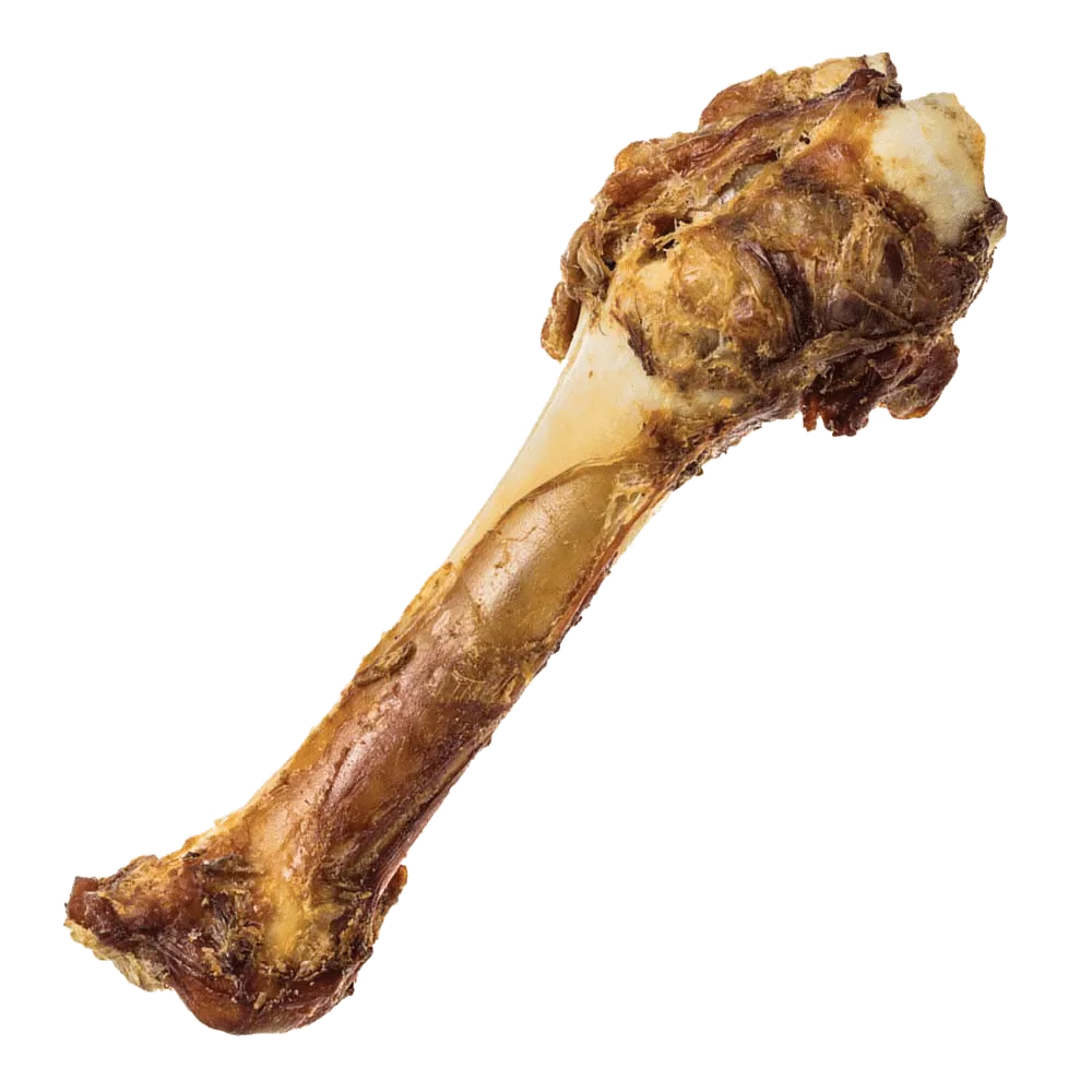 Shank Bone