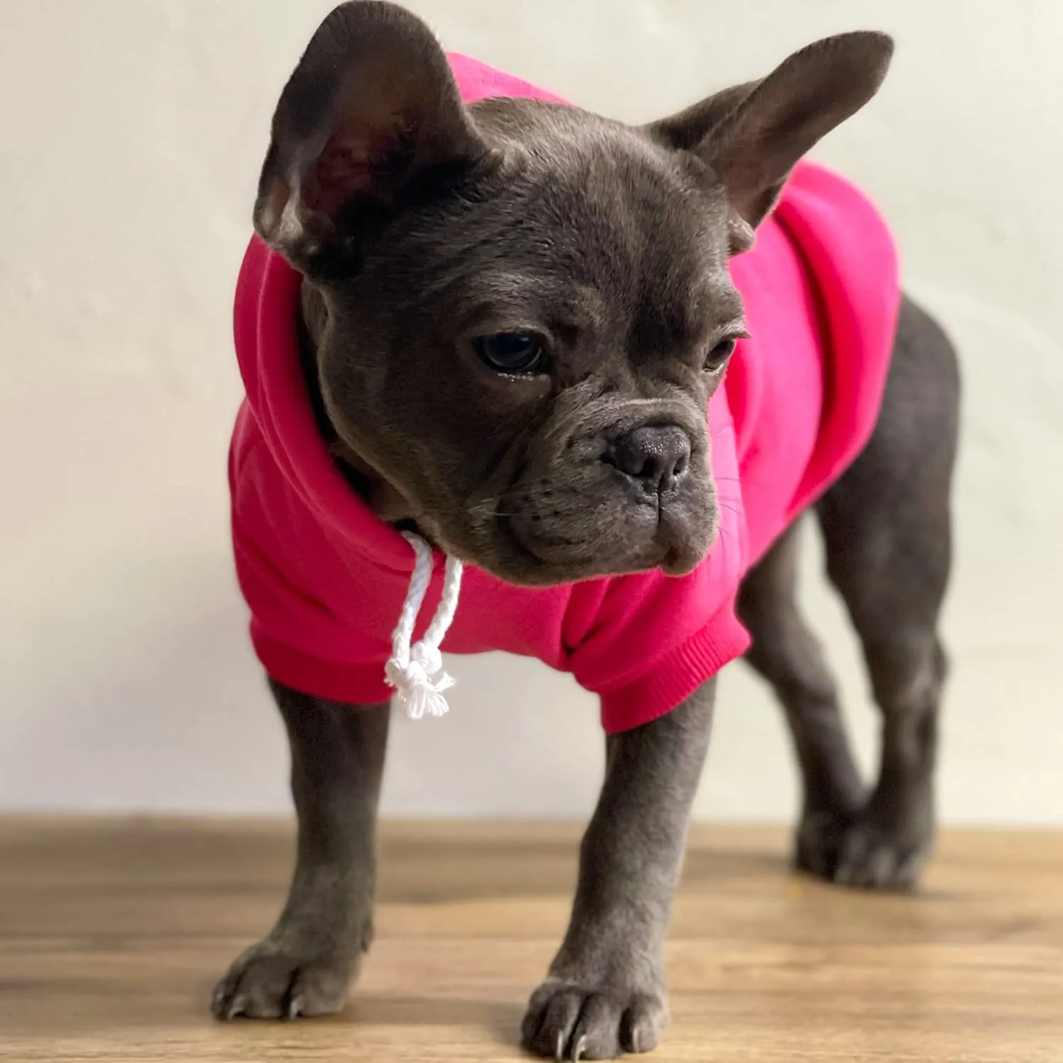 Sloppy Kisser Valentine's Day Dog Hoodie Fleece Lined Pullover Sweatshirt with Leash Hole (Hot Pink, 2X-Large 1174)