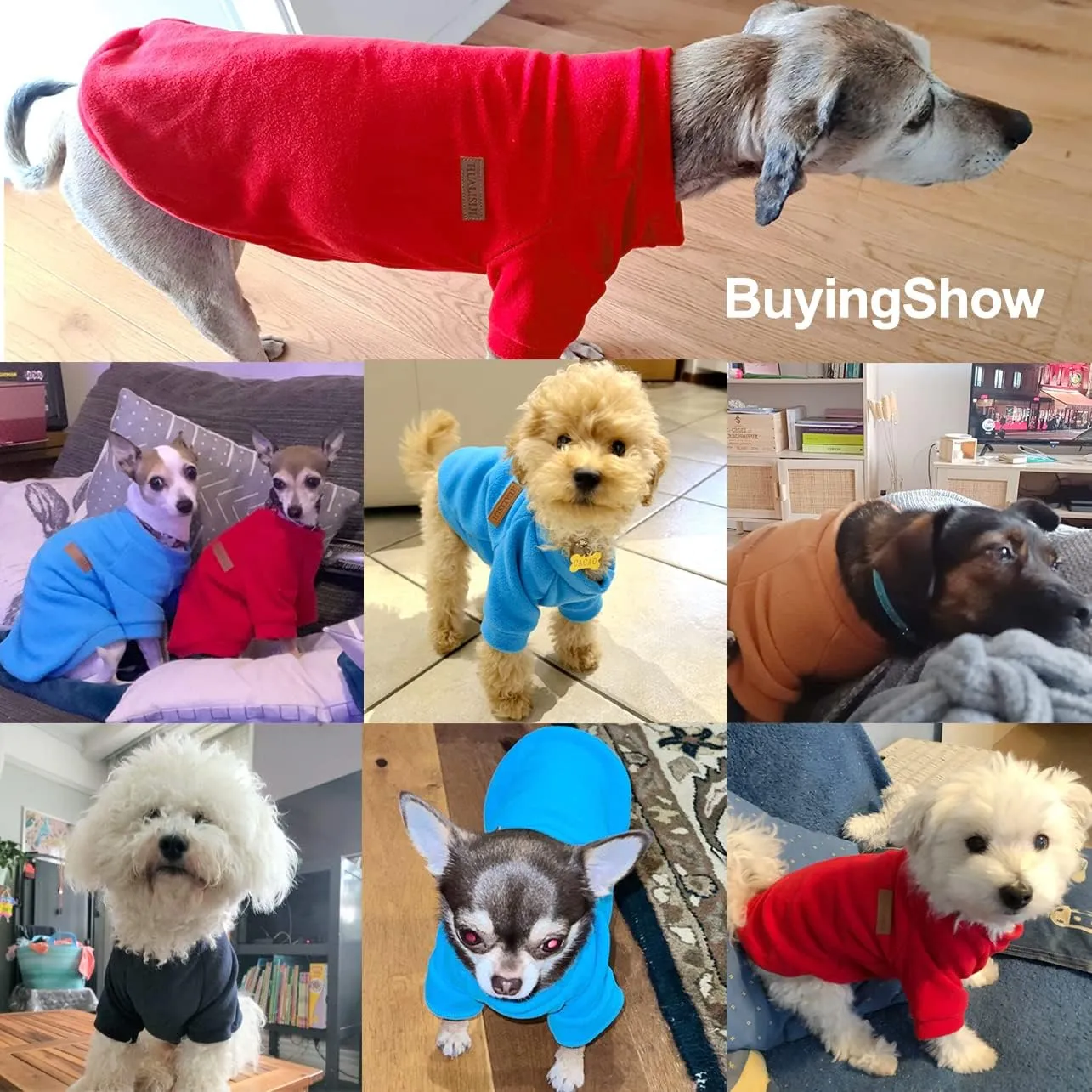 Small Dog Sweater Dog Sweatshirts for Small Dogs Chihuahua Clothes, Warm and Lightweight, with a Soft Texture, Easy to Wear and Bright Colors (Blue, X-Small)