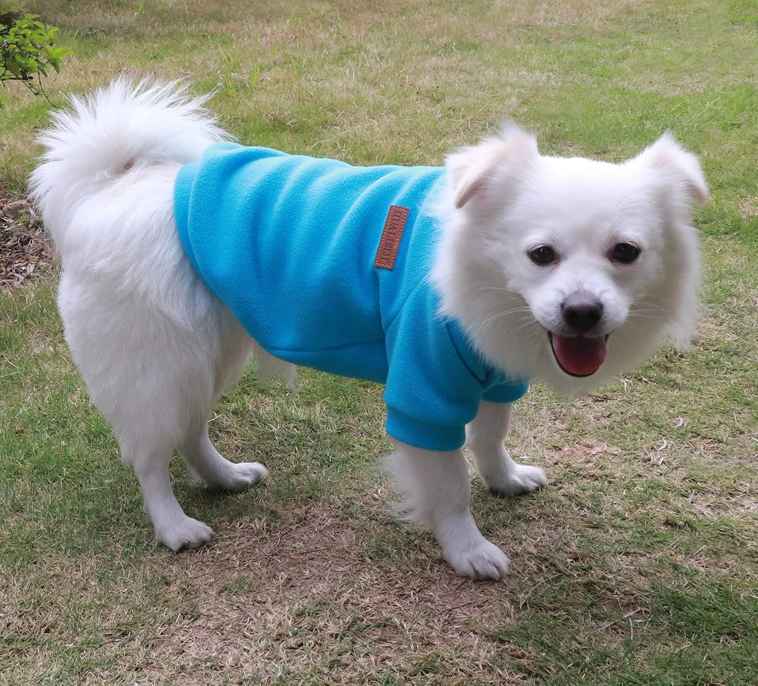 Small Dog Sweater Dog Sweatshirts for Small Dogs Chihuahua Clothes, Warm and Lightweight, with a Soft Texture, Easy to Wear and Bright Colors (Blue, X-Small)