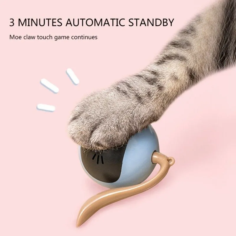 Smart Self Rotating LED Cat Toy