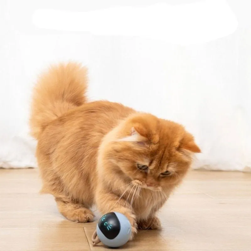 Smart Self Rotating LED Cat Toy