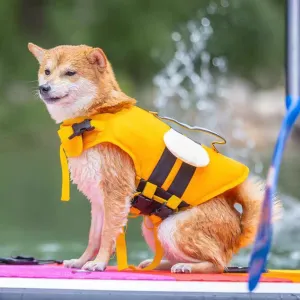 Summer Dog Life Vest Jacket